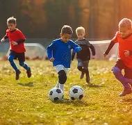 博德之门,契约是否应,解除分析,新葡京,新葡京app,新葡京娱乐,新普京赌场